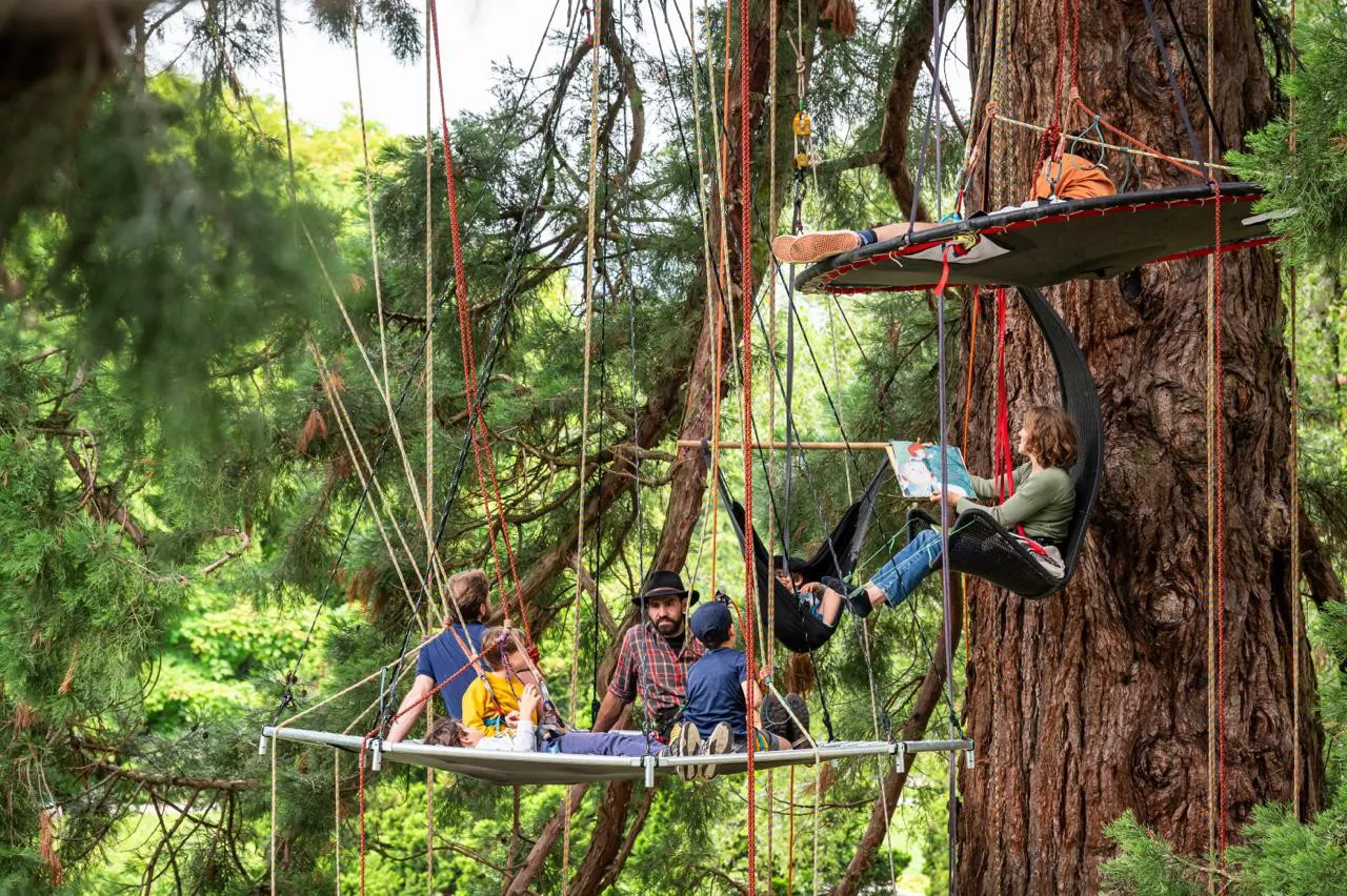 Grimpe d'arbres en pleine nature - Activité sécurisée et immersive