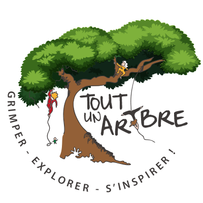 Tout un Art'bre, grimper, explorer, s'inspirer